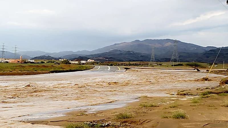 غرق 3 أطفال من أسرة واحدة بالمظيلف