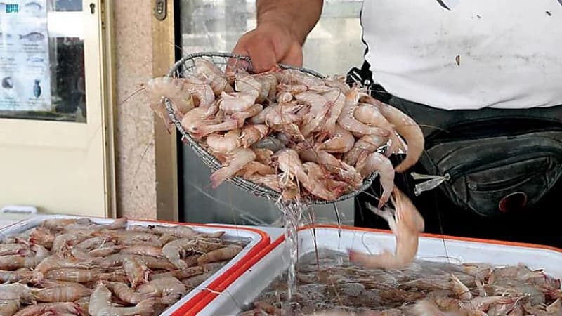 حظر استيراد الروبيان من الهند