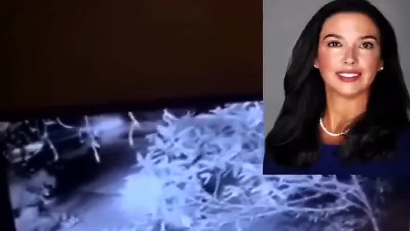 بالفيديو.. قاضية أمريكية تثير الجدل بـ "تصرف فاضح"