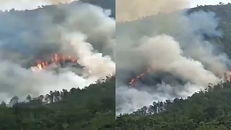 بالفيديو.. تحطم طائرة صينية على متنها 133 شخصًا