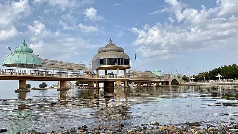 شاهد.. سبب تسمية محافظة ضباء بهذا الأسم
