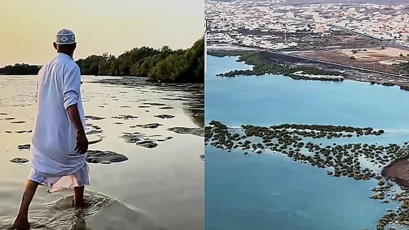 عين ماء عذبة تتدفق من قلب البحر جنوب غرب المملكة.. فيديو