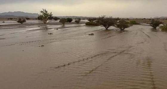 12 ورقة عمل تبحث تطوير بيئة السجون في جدة