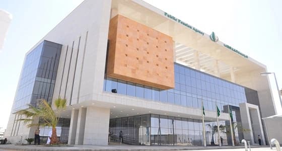 " التقاعد " تكشف الحالات التي لا يستحق فيها الورثة المعاش