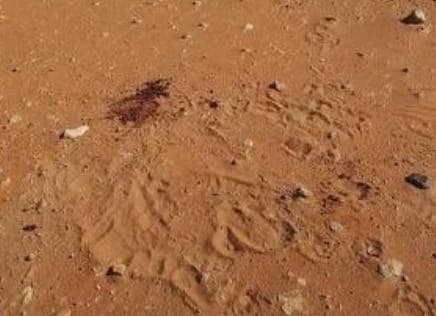 بالفيديو.. حكم طلب الزوجة الطلاق من زوجها بسبب زواجه بأخرى