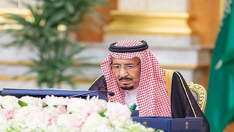 تفاصيل قرارات مجلس الوزراء