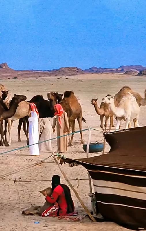 صورة قديمة من البادية