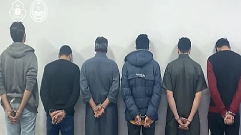 بالفيديو.. ضبط محتالين ومخالفين تورطوا في عدة جرائم