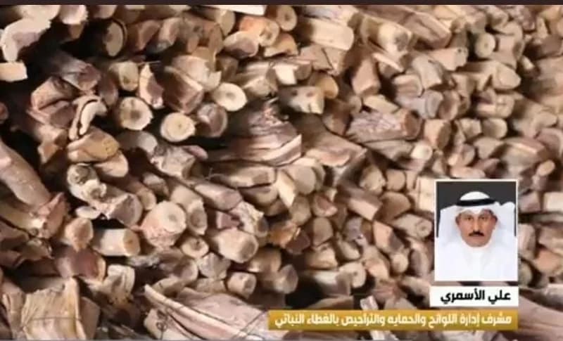 مختص ينصح بشراء الحطب والفحم المستورد والابتعاد عن المحلي