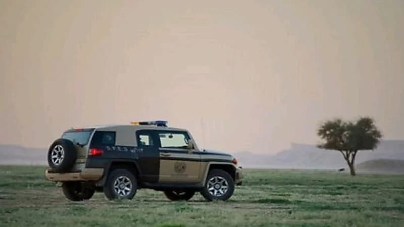 ضبط 7 مخالفين لنظام البيئة لاستخدامهم حطبًا وفحمًا محليين في أنشطة تجارية