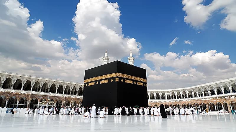الإفتاء تكلف 4 مشايخ للرد هاتفيًا على استفسارات الحجاج