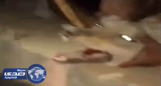 رأس امرأة مقطوعة تحير السلطات في أمريكا بعد 3 سنوات