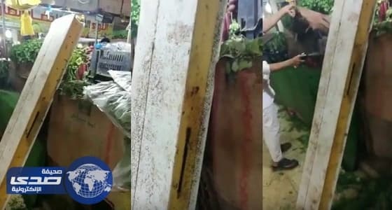 بالفيديو.. عامل يرش مبيد حشري على الخضروات والفاكهة