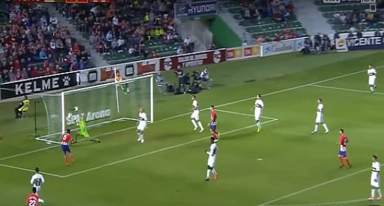 بالفيديو.. زوجان يكشفان عن نوع المولود من خلال " تمساح "