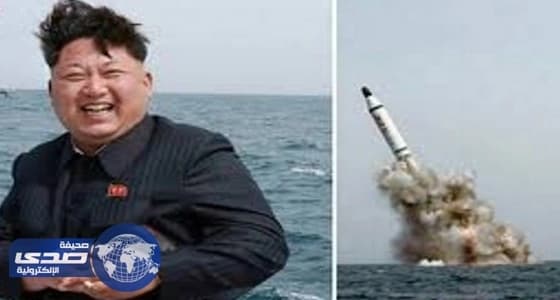 بالفيديو.. وصول القوة المشاركة لتمرين " درع الخليج "