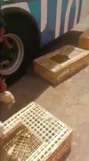 السجون تواصل حصد جوائز مسابقة الأمير نايف لحفظ القرآن الكريم