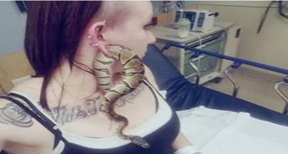 ثعبان غبي يحاول المرور من فتحة أذن فتاة أمريكية