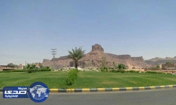 تعليم العلا يوضح حقيقة تعليق الدراسة