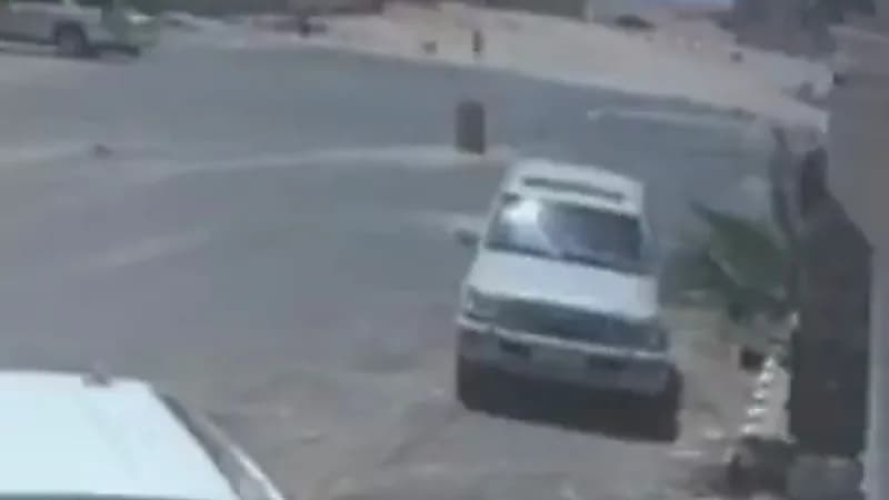 بالفيديو .. كلاب ضالة تطارد طفلة لافتراسها بالقريات