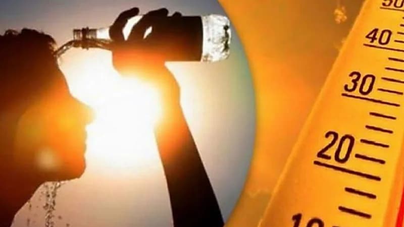 البرتغال: وفاة 1063 شخصًا في البلاد بسبب موجة الحر