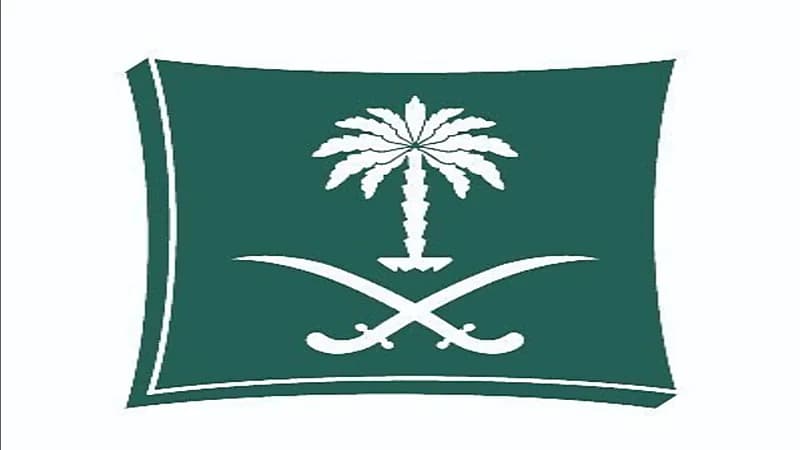 التجارة" تستدعي ٦٠٤ من مركبات لكزس "NX" ٢٠٢٢