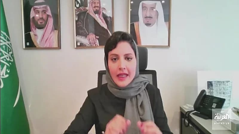 الأميرة هيفاء : التحدي الأكبر لنا في رئاسة لجنة البرامج والعلاقات باليونسكو هو "الحياد" (فيديو)