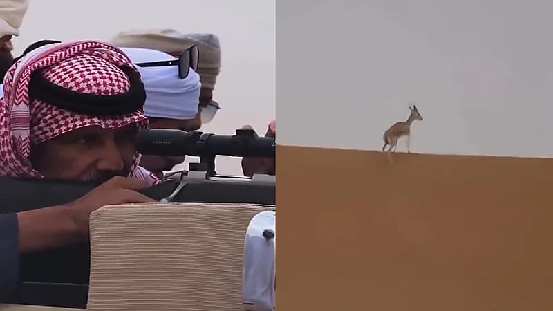 فيديو..لحظة اصطياد الفنان خالد عبد الرحمن لغزالٍ