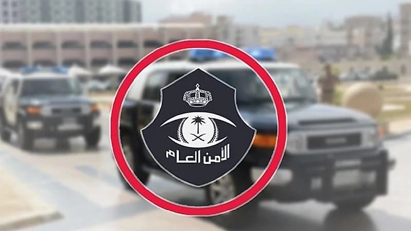 بالفيديو.. سقوط عدد من المجرمين في قبضة رجال الأمن