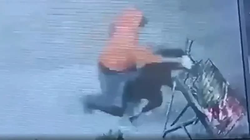 شاهد.. سرقة سمكة أثناء شوائها بالشارع تثير السخرية