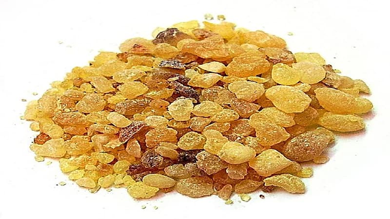 جمعية جراحة الأنف: لا صحة للمقاطع المتداولة عن علاج التهابات الجيوب الأنفية بـ"المرة"