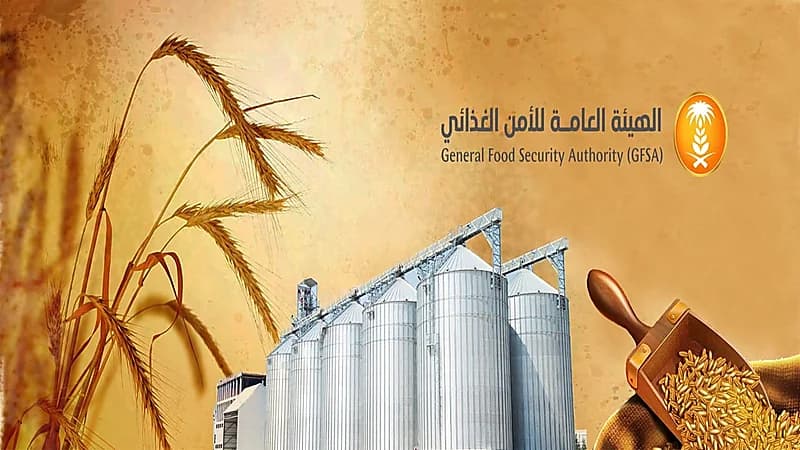 صرف 75 مليون ريال مستحقات الدفعة التاسعة لمزارعي القمح المحلي