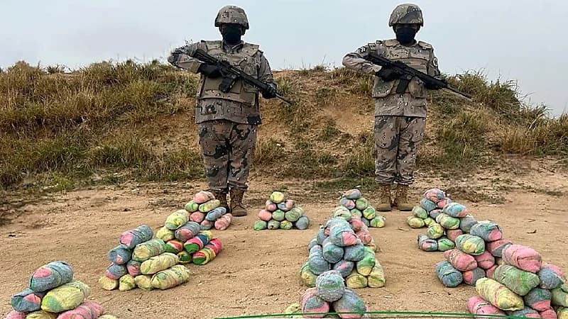 إحباط تهريبَ 63 كجم من القات