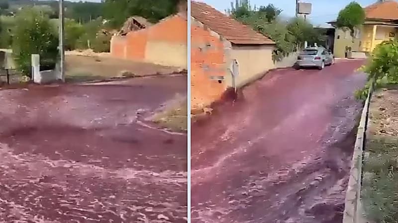 تدفق نهر من الخمر في البرتغال..فيديو!