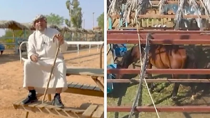 الزعاق يوضح موعد انطلاق الطيور والخيل للتدريب والإبل للمرعي .. فيديو