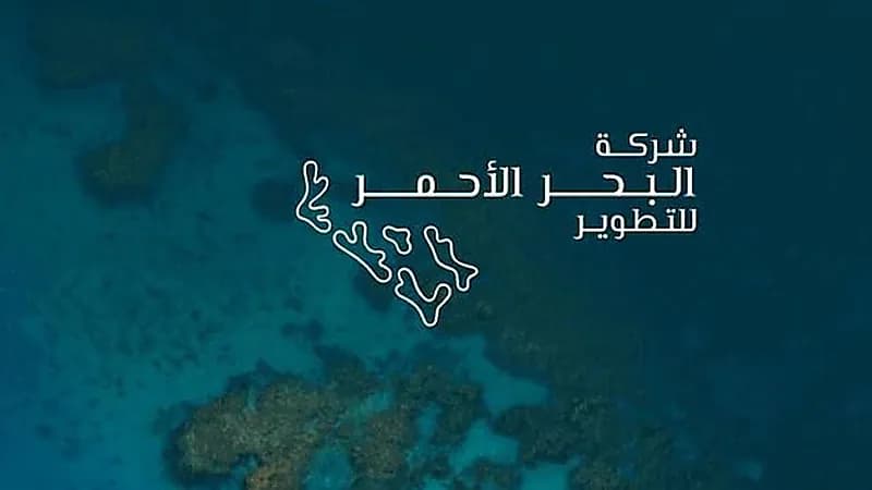 شركة البحر الأحمر توفر تدريب منتهي بالتوظيف لحملة البكالوريوس فأعلى