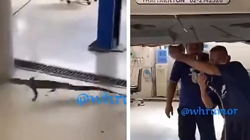 ذهب للوكالة يشتكي من صوت في السيارة والنتيجة "ضب"..فيديو