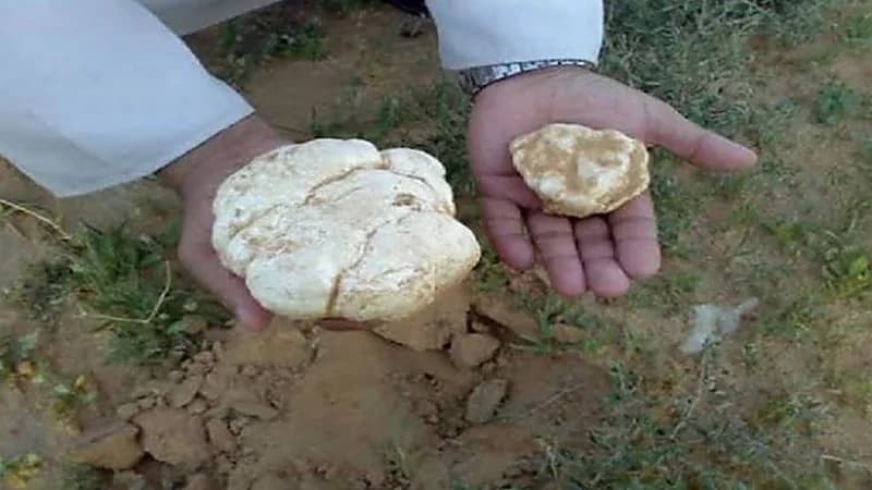 حرس الحدود يحذر من دخول منطقة الحدود البحرية