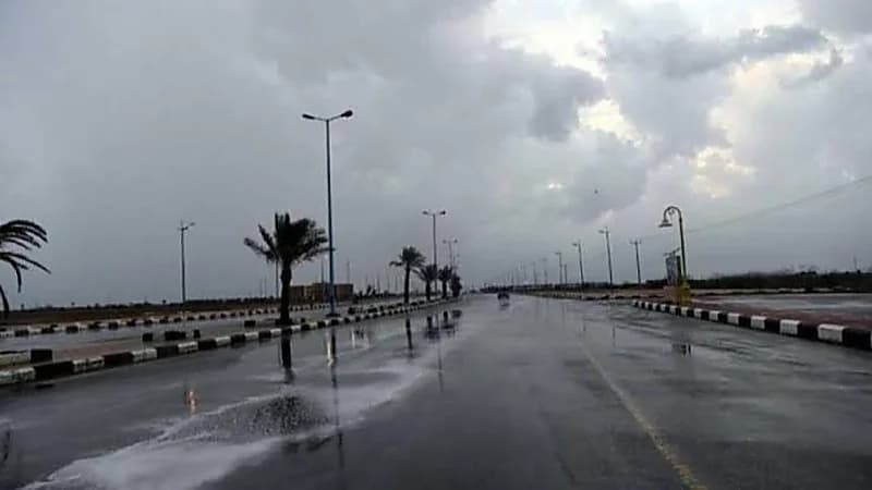 قازنلي يتوقع هطول أمطار وقدوم موجة باردة جديدة..فيديو