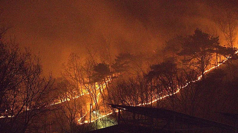 حرائق الغابات خارج السيطرة في كوريا الجنوبية.. فيديو