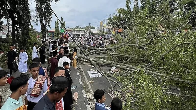 سقوط شجرة عملاقة علي مصلين بإندونيسيا ..فيديو