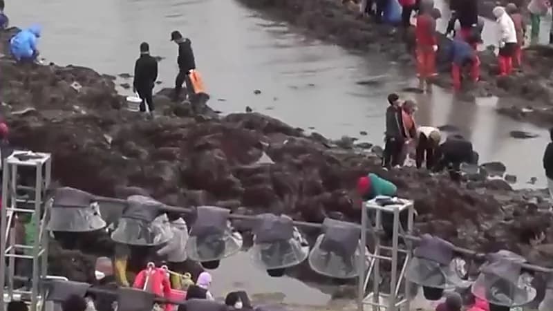 انشقاق البحر في كوريا الجنوبية ..فيديو