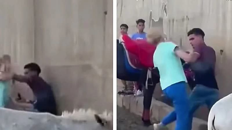 مشهد صادم لسائحة تهاجم شابًا اعتدى على حمار قرب الأهرامات .. فيديو