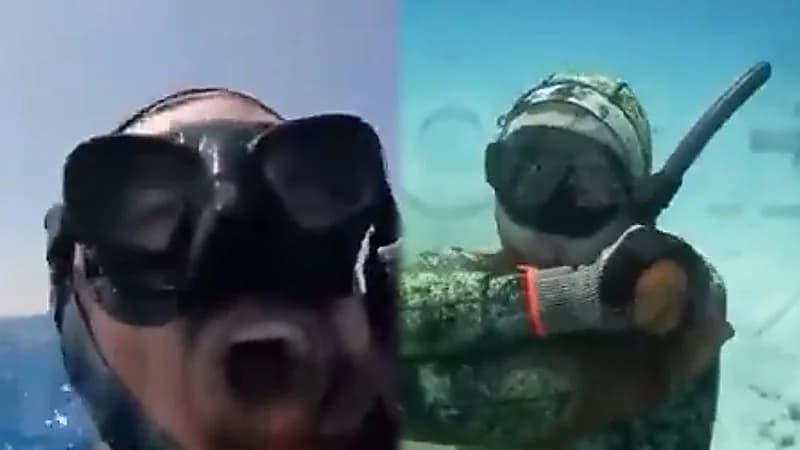 مشهد يحبس الأنفاس لغواص يتعرض للخنق بواسطة أخطبوط.. فيديو