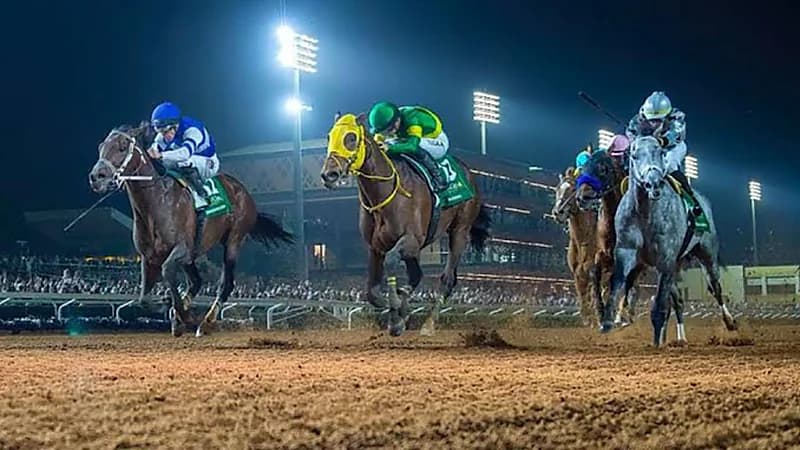 نادي سباقات الخيل يوفر وظيفة شاغرة