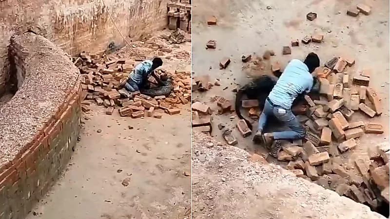 ردة فعل بطولية لعامل هندي ينجو من هجوم نمر مفترس داخل مصنع طوب.. فيديو