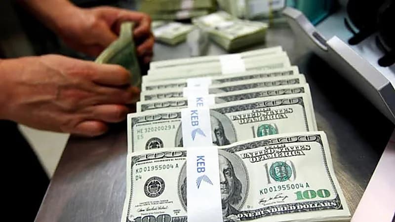 شاب يفضح أكبر شبكة لتجارة الآثار وغسيل الأموال في مصر