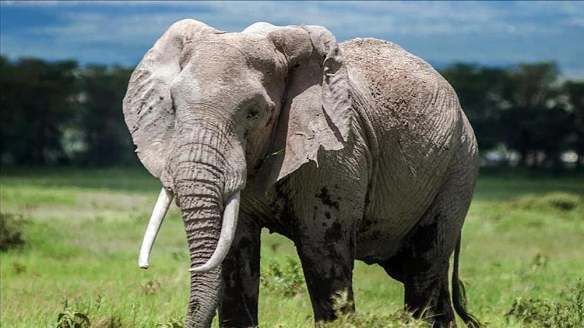 WhatsApp Image 2025-11-03 at 1.42.18 PM.jpeg