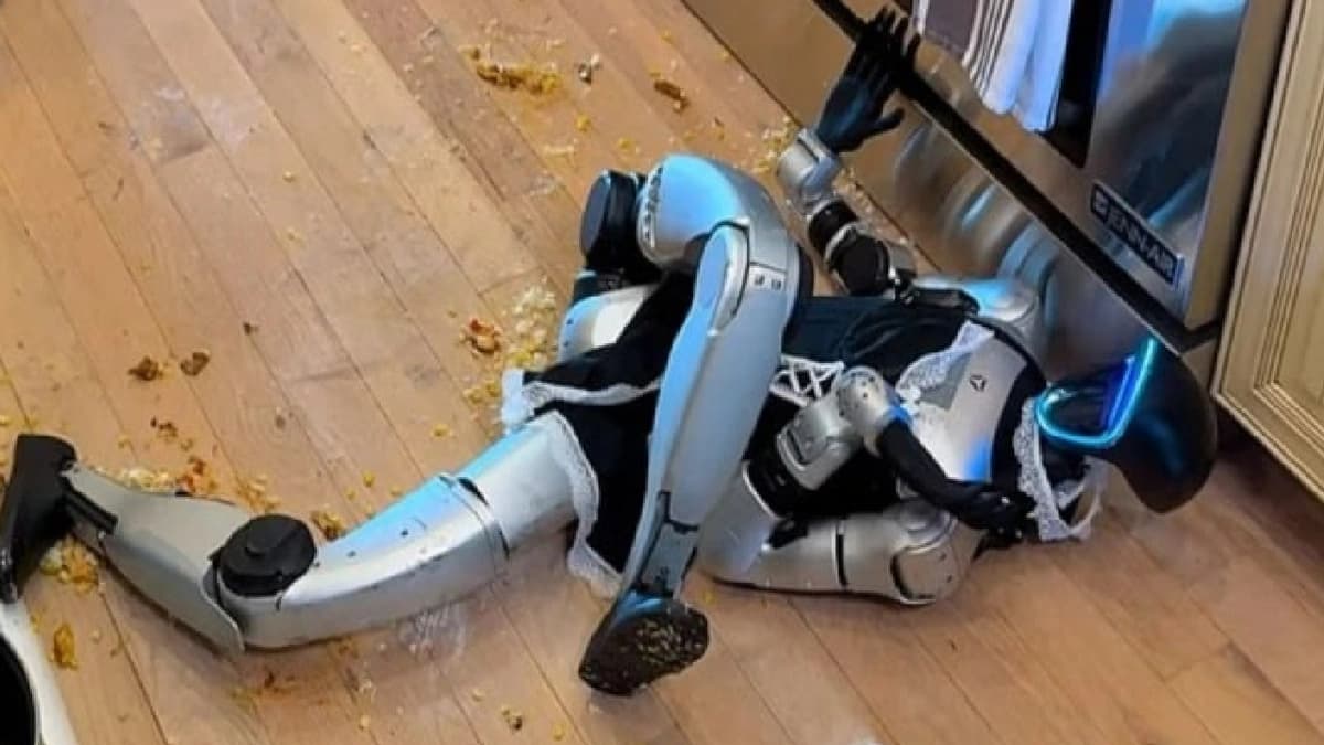 نهاية كارثية لروبوت متطور حاول إعداد وجبة  .. صور