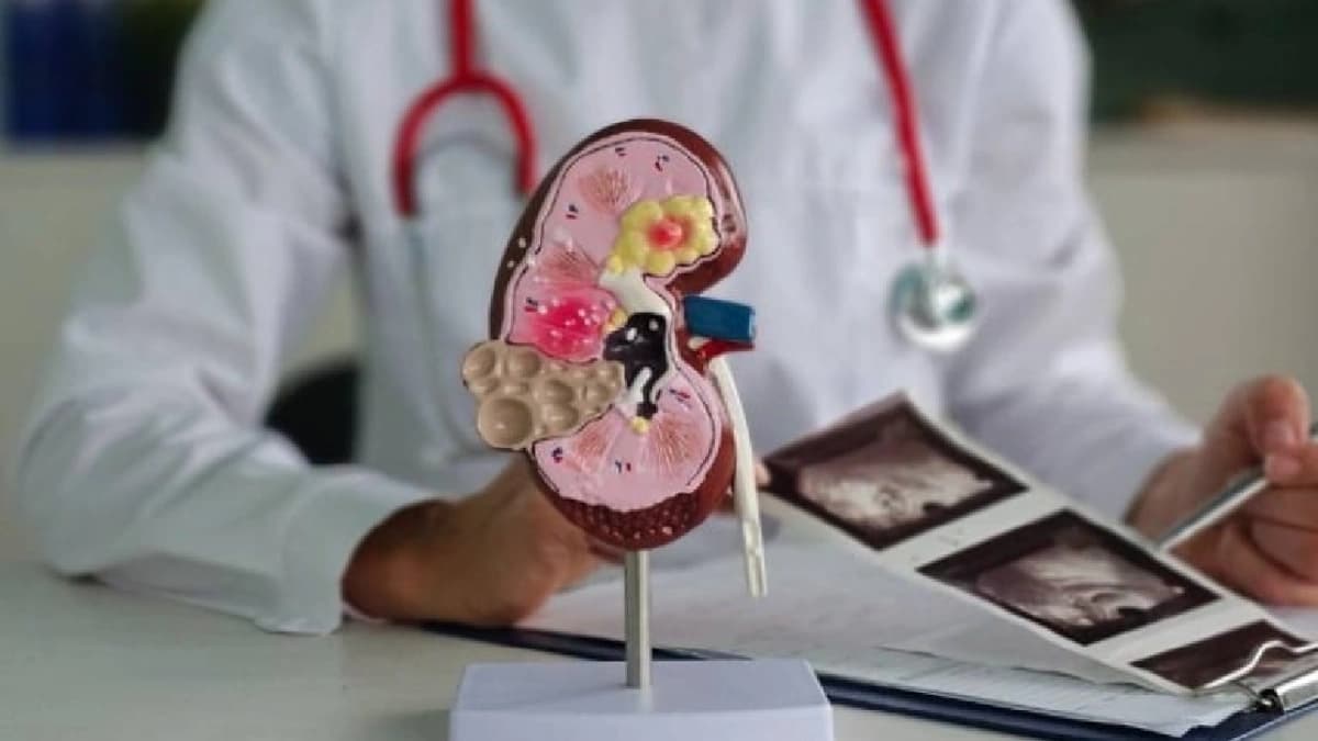 WhatsApp Image 2025-11-06 at 4.33.45 PM.jpeg