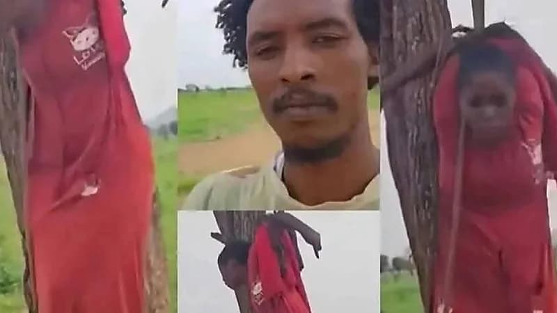 الدعم السريع يعلق على تورط أحد منسوبيها في حادثة المرأة المعلقة على شجرة.. فيديو